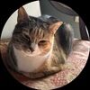loida_r